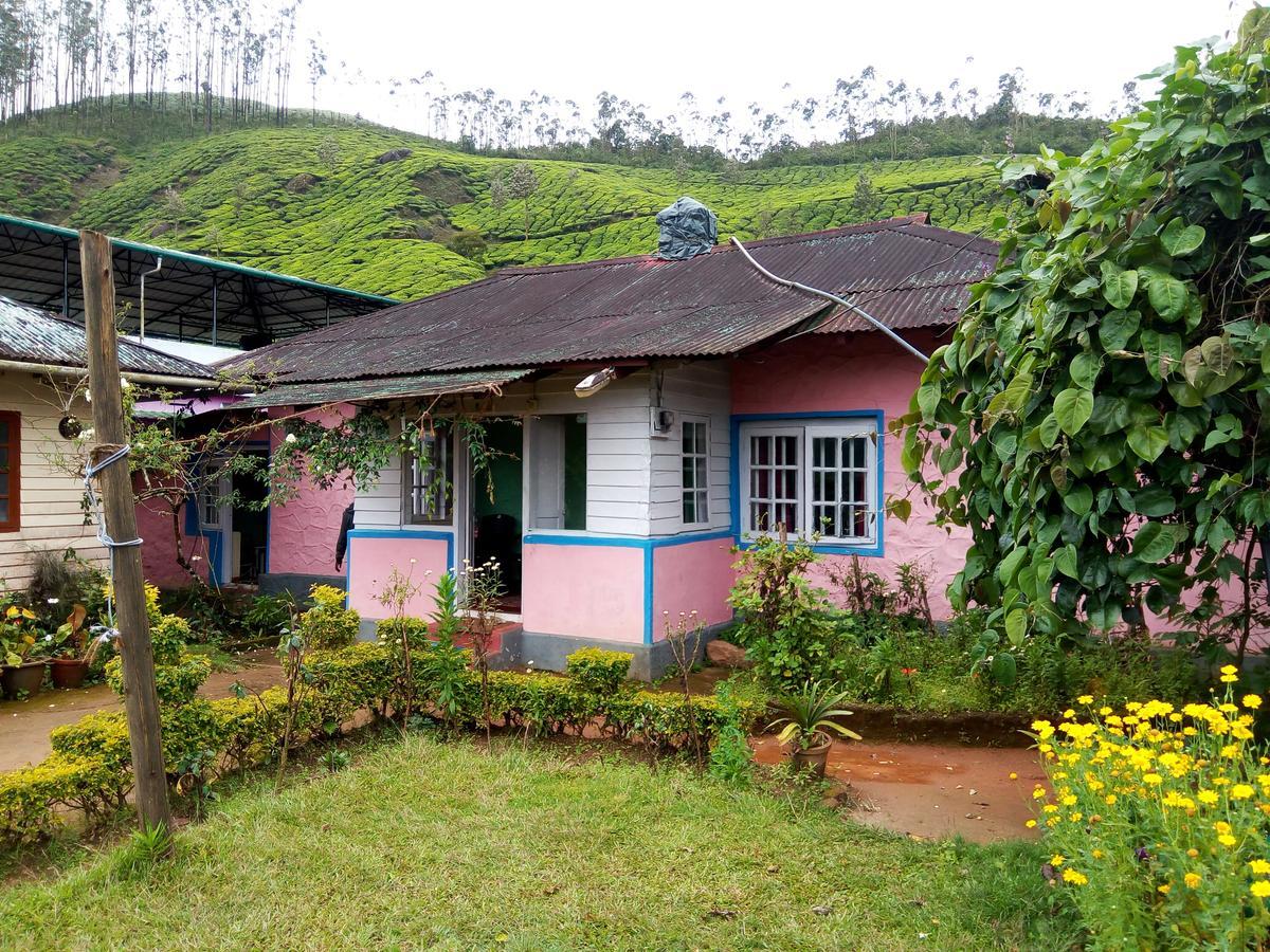 Zina Cottage Munnar Zewnętrze zdjęcie